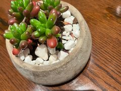 -佘山世茂艾美·御珍轩中餐厅