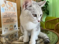 -亚宠动物医院·芭比堂宠物医院(盘龙店)