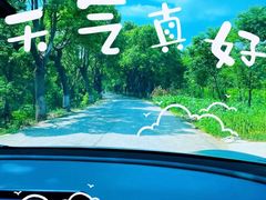 -动邦皮划艇·桨板·独木舟·团建户外运动俱乐部