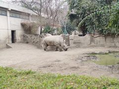 -成都动物园