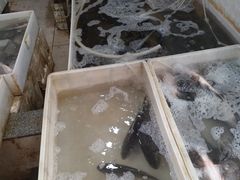 -江汉区姑嫂树菜市场