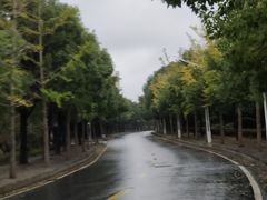 -岳阳市博物馆