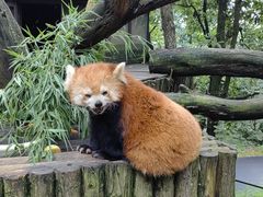 -云南野生动物园