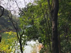 -广州市白云山风景名胜区