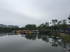 -上海长兴岛郊野公园