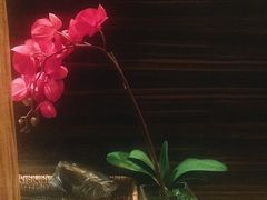 -东方大班·足道·采耳·疗愈SPA(丽都店)