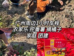 -荔枝红五号农庄