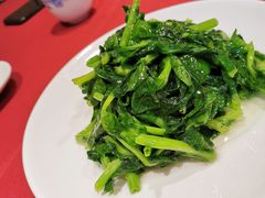 酒香豆苗-老吉士酒家(天平路店)