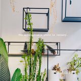 温州|吃到了小王子的玫瑰花甜品小蛋糕🌹