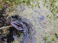 -西山漾湿地公园