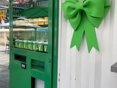 -ALPHA COFFEE阿尔法咖啡(虹泉路店)