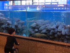 水产区-淘米捞·米汤脆鲩鱼火锅(福田皇岗店)