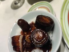 葱烧活海参-开海·红岛海鲜虾水饺(石老人店)