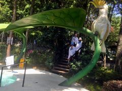 -金方森林温泉