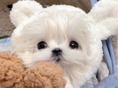 -八一路好吃街(雨田商务大厦店)