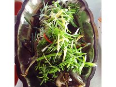 -越海渔村