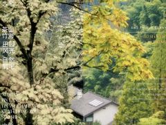 -莫干山风景区