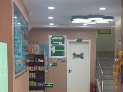 -天使宠物医院·犬猫分诊(彩虹店)