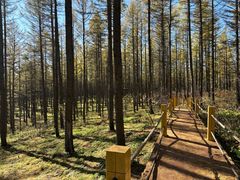 -塞罕坝国家级自然保护区