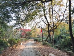 -雨花胜境