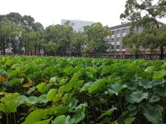-四川大学(望江校区)