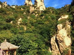 -大岭沟猕猴桃谷风景区