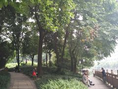 -成都市活水公园