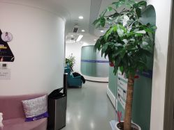 -联合丽格·张菡丽格医疗美容