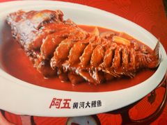 -阿五黄河大鲤鱼(纬三路店)