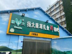 门面-扬大康源乳业鲜奶吧(江都路店)