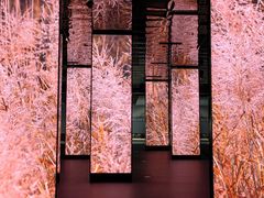 -中国湿地博物馆