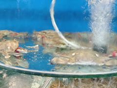 -沿海渔家院海鲜烧烤·东北菜(东戴河店)