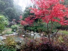 -黄山温泉国际旅游度假区