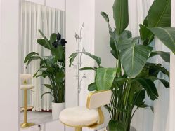 -DR·Z 科技护肤中心