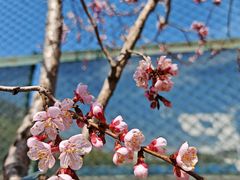 -吉林大学(南岭校区)