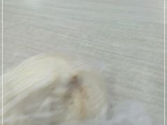 -新丰小吃(中山中路分店)