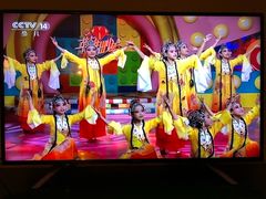 -梧桐花语舞蹈培训中心(潞城校区)