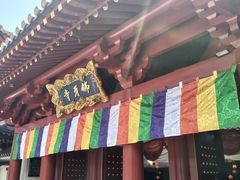 -新加坡佛牙寺龙华院