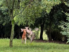 -乐和乐都主题乐园