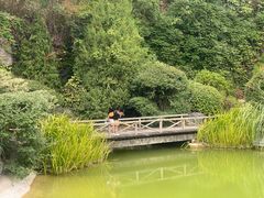 -上海吴淞炮台湾国家湿地公园