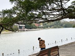 -江心屿景区