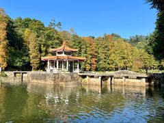 -深圳仙湖植物园