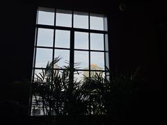 -滇野云南野生菌餐厅(陕西南路店)