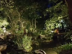 -绿光森林餐厅