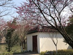 -张二面馆(山门口店)