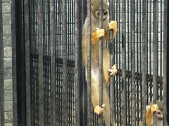 -广东茂名森林公园