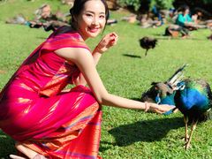 -西双版纳勐泐文化旅游区