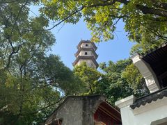 -江心屿景区