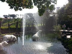 -济州岛泰迪熊博物馆