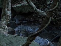 -马峦山郊野公园